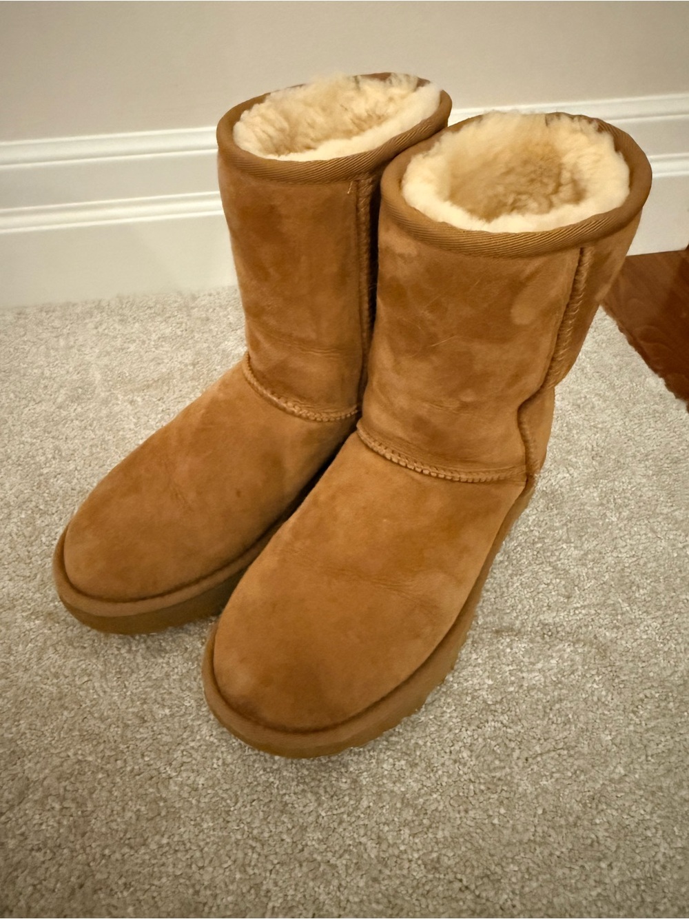 Classic uggs Women’s Boots - Chestnut mid calf